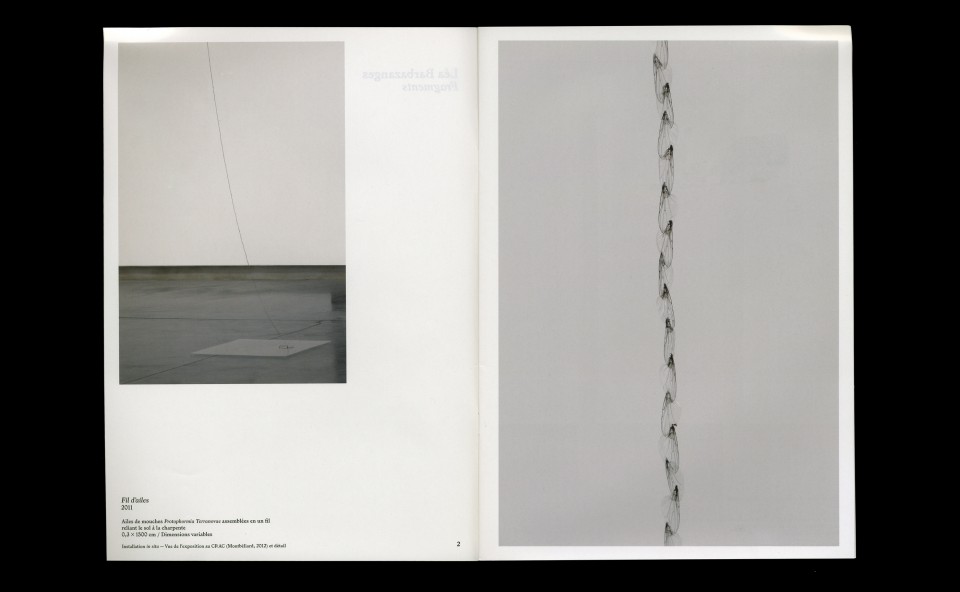 Fragments