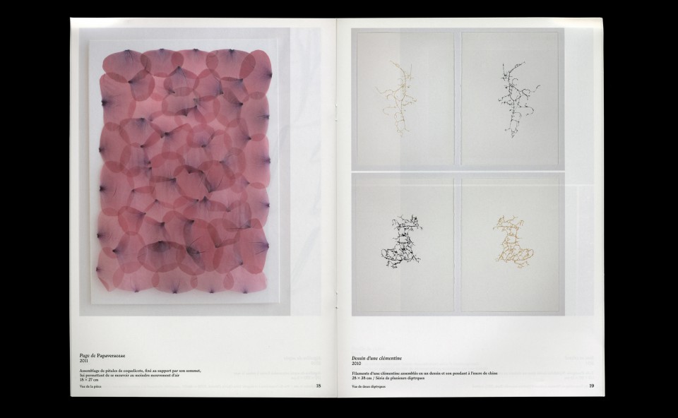 Fragments